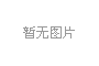 2010年巴基斯坦通信展展后总结